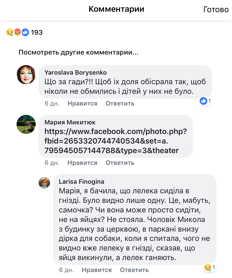 Плітки про лелече гніздо і до чого тут критичне мислення