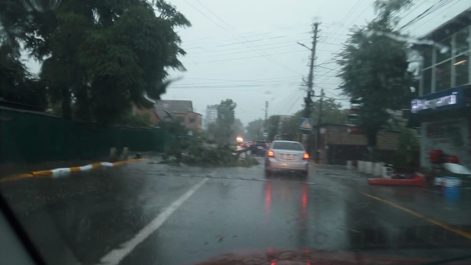 Негода в Ірпені: пробиті дахи, зламані дерева, затоплені вулиці та залізничний перехід