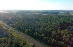 Кулуарна боротьба Ірпеня за курортний Ворзель: виграти має місцева громада