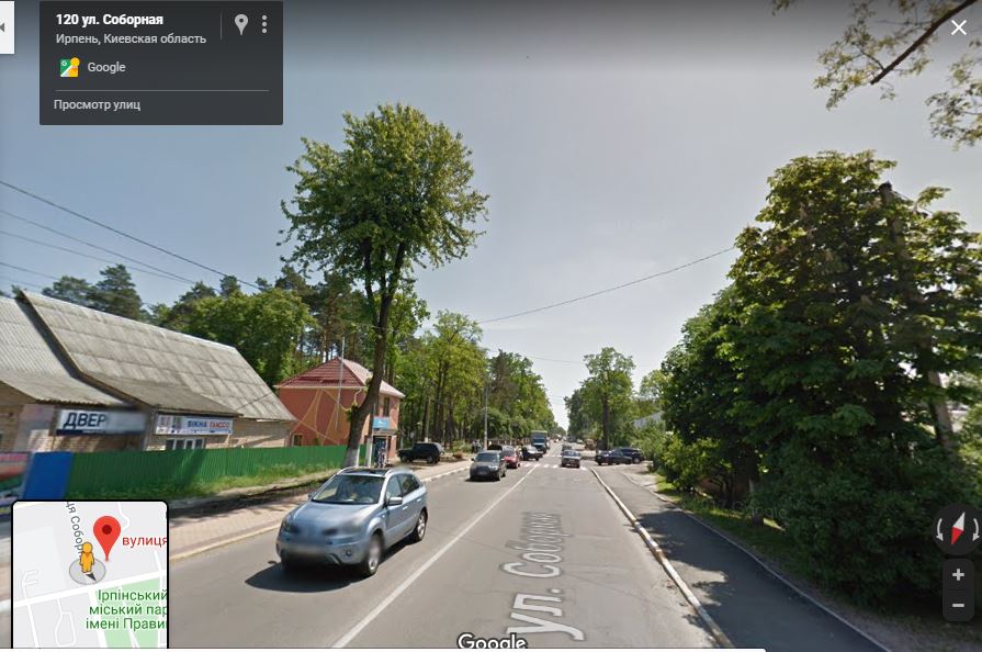 Дерево в Ірпені по вулиці Соборній знищили заради облаштування автобусної зупинки на прохання пасажирів?