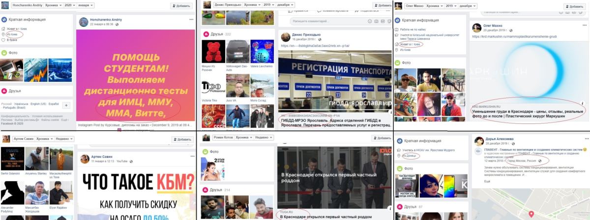 “Ботоферма” в підтримку Андрія Літвинова: мешканці Росії та безликі профілі