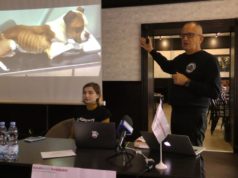 Жорстоке поводження з тваринами: зоозахисний семінар в Ірпені у ракурсі гучних скандалів із собаками