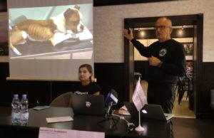 Жорстоке поводження з тваринами: зоозахисний семінар в Ірпені у ракурсі гучних скандалів із собаками