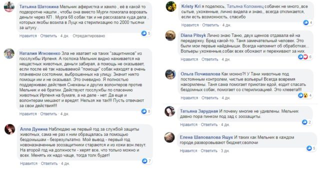 Скандальна “Служба захисту та лікування тварин” погрожує волонтерам та залишає тварин на вулиці