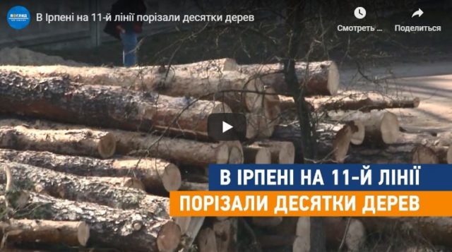 Ірпінські сосни – у Гостомелі: поліція підтвердила факт незаконного перевезення деревини зі знищеної зеленої зони