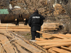 Ірпінські сосни – у Гостомелі: поліція підтвердила факт незаконного перевезення деревини зі знищеної зеленої зони