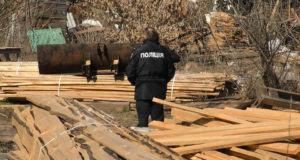 Ірпінські сосни – у Гостомелі: поліція підтвердила факт незаконного перевезення деревини зі знищеної зеленої зони