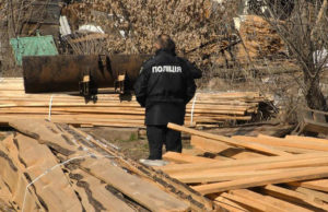 Ірпінські сосни – у Гостомелі: поліція підтвердила факт незаконного перевезення деревини зі знищеної зеленої зони