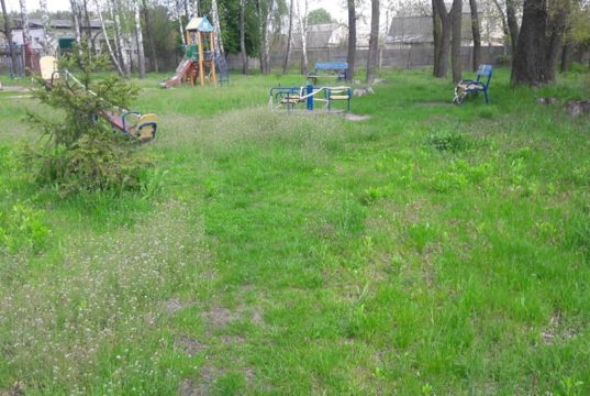 Понівечили смереки: ірпінські чиновники піарилися на «прибиранні» парку, де навели лад місцеві жителі