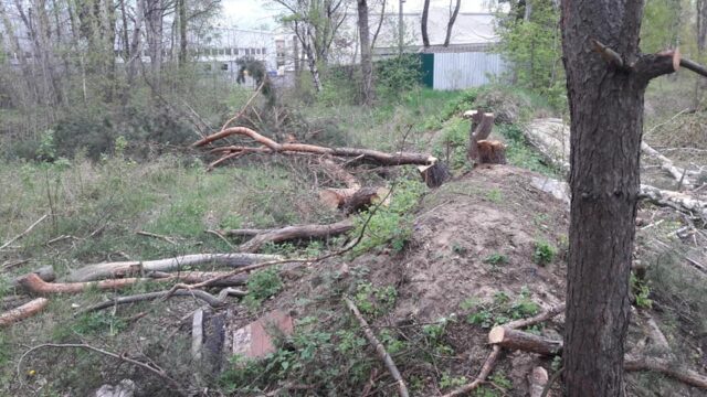 Траншеї під фундамент у зеленій зоні Ірпеня