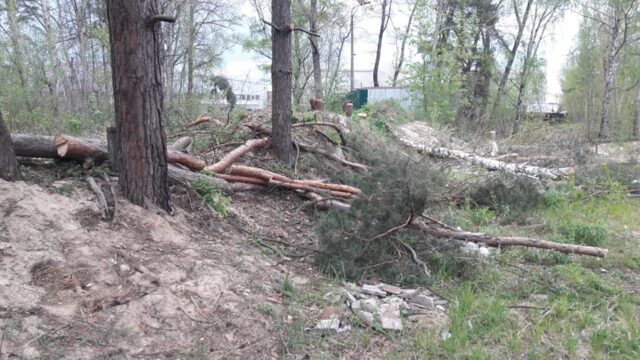 Траншеї під фундамент у зеленій зоні Ірпеня