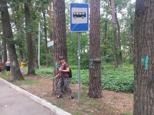 Заказник чи парк: захисників «Мужеловського» в Ірпені насторожили «об’єкти рекреаційного призначення»