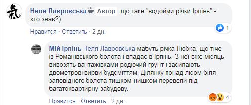 Природна краса чи стічна канава: карплюківці обговорюватимуть «відновлення» річки Ірпінь