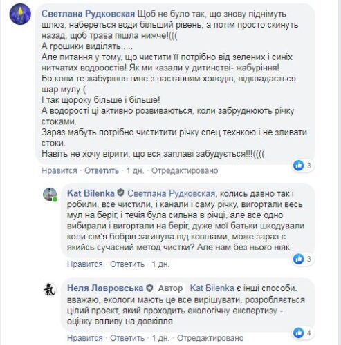 Природна краса чи стічна канава: карплюківці обговорюватимуть «відновлення» річки Ірпінь