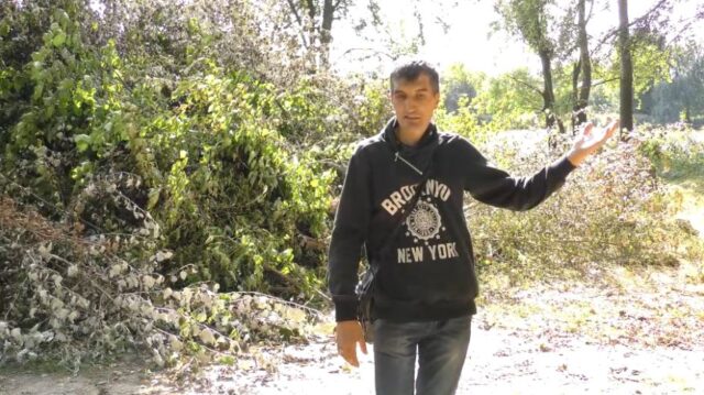 У Гостомелі вирізали дерева: проєкт на Кімерці на майже мільйон гривень профінансував Ірпінь