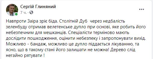 Гине віковий дуб в Ірпені: хто врятує зеленого красеня?