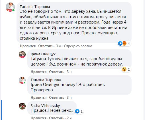 Гине віковий дуб в Ірпені: хто врятує зеленого красеня?