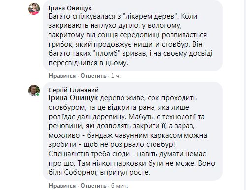 Гине віковий дуб в Ірпені: хто врятує зеленого красеня?