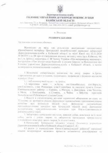 Сказ: Ірпінь та наближені населені пункти – у небезпечній зоні