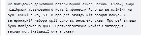 Сказ: Ірпінь та наближені населені пункти – у небезпечній зоні