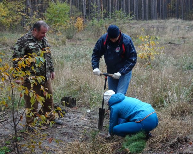 Зелений десант: жителі Ірпеня допомогли лісничим висадити майже 4 тисячі саджанців сосни