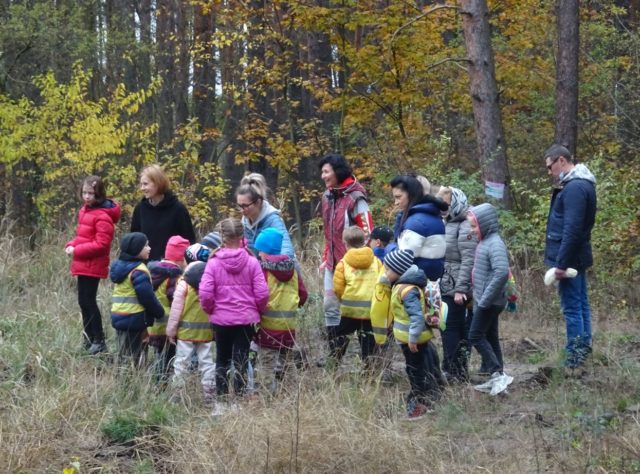 Зелений десант: жителі Ірпеня допомогли лісничим висадити майже 4 тисячі саджанців сосни