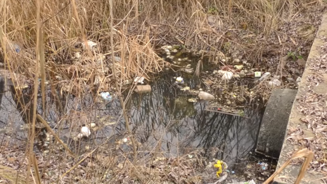 Каналізаційні нечистоти роками забруднюють озеро Земснаряд