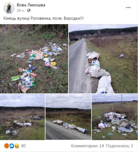 Стихійне сміттєзвалище в Михайлівці-Рубежівці: чия відповідальність?
