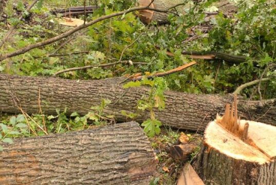 Привид Мирончука: у Бучі намагаються поновити висотну забудову біля «Кампи»?