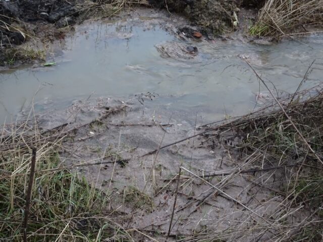 Екологічне лихо: нечистоти в Ірпені із новобудов у районі БТР зливають на заплаву річки Буча
