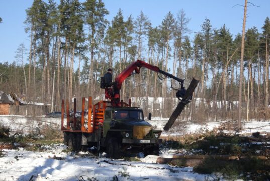 Власник землі у Лісовій Бучі зрізав вікові дерева, що викликало обурення громади