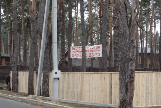 Паркан у Лісовій Бучі: над віковими деревами нависла загроза знищення?