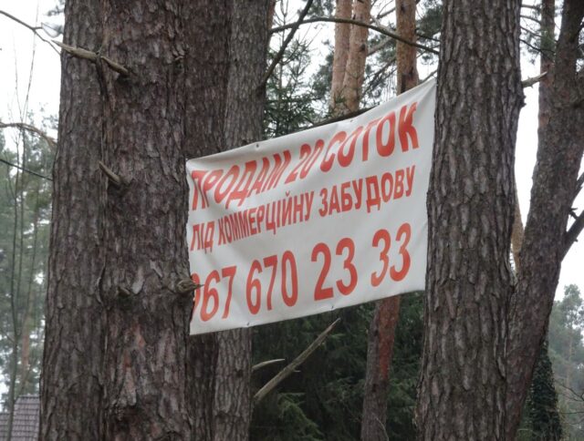 Паркан у Лісовій Бучі: над віковими деревами нависла загроза знищення?