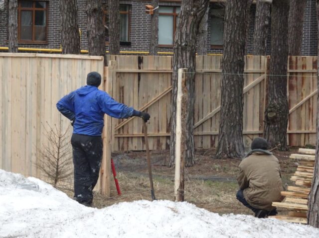 Паркан у Лісовій Бучі: над віковими деревами нависла загроза знищення?