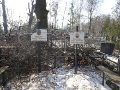 Понівечена пам'ять: бучанські комунальники обіцяють відшкодувати наслідки кронування на кладовищі