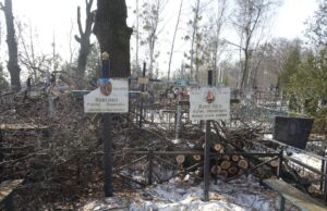 Понівечена пам'ять: бучанські комунальники обіцяють відшкодувати наслідки кронування на кладовищі
