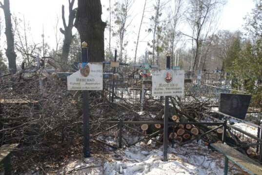 Понівечена пам'ять: бучанські комунальники обіцяють відшкодувати наслідки кронування на кладовищі