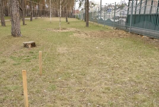 Кафе-зупинка в Ірпені поблизу парку «Центральний»: місцева влада розпоряджається державною землею?