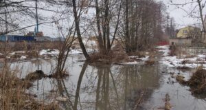 В Ірпені через будівництво ЖК «Синергія сіті» підтоплює садиби приватного сектора