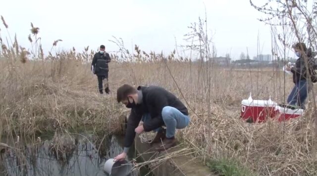 Стоки з висоток Ірпеня – на заплаву та у річку Буча: хто нестиме відповідальність?