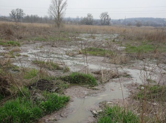 Знищення природи в Ірпені: екологи та поліція відібрали зразки для дослідження