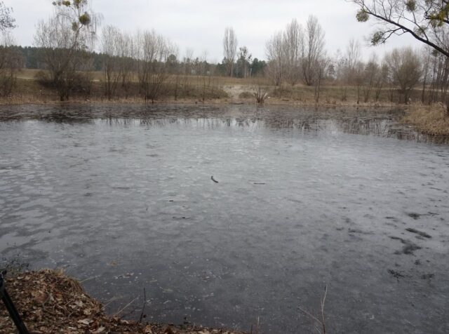 Нечистоти чи водорості: громада Ворзеля стривожена станом озера