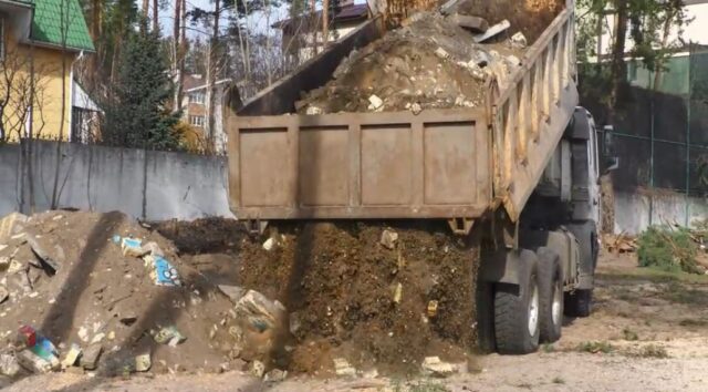 В Ірпені на території садочка «Віночок» нищать вікові сосни