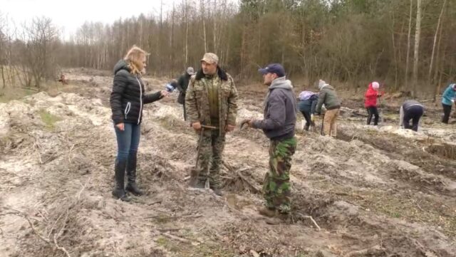 Одні вирубують – інші висаджують: екологічна акція в Ірпінському лісництві