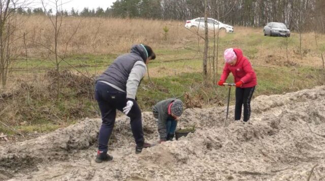 Одні вирубують – інші висаджують: екологічна акція в Ірпінському лісництві