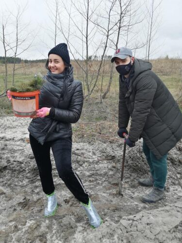 Одні вирубують – інші висаджують: екологічна акція в Ірпінському лісництві