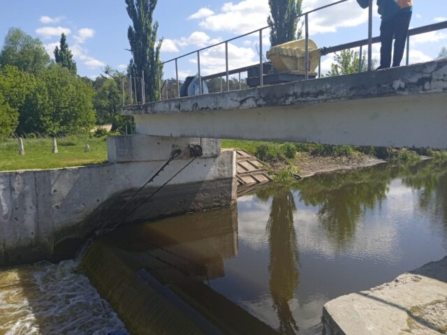 Через стрімке спускання води у річці Ірпінь зменшиться кількість риби?